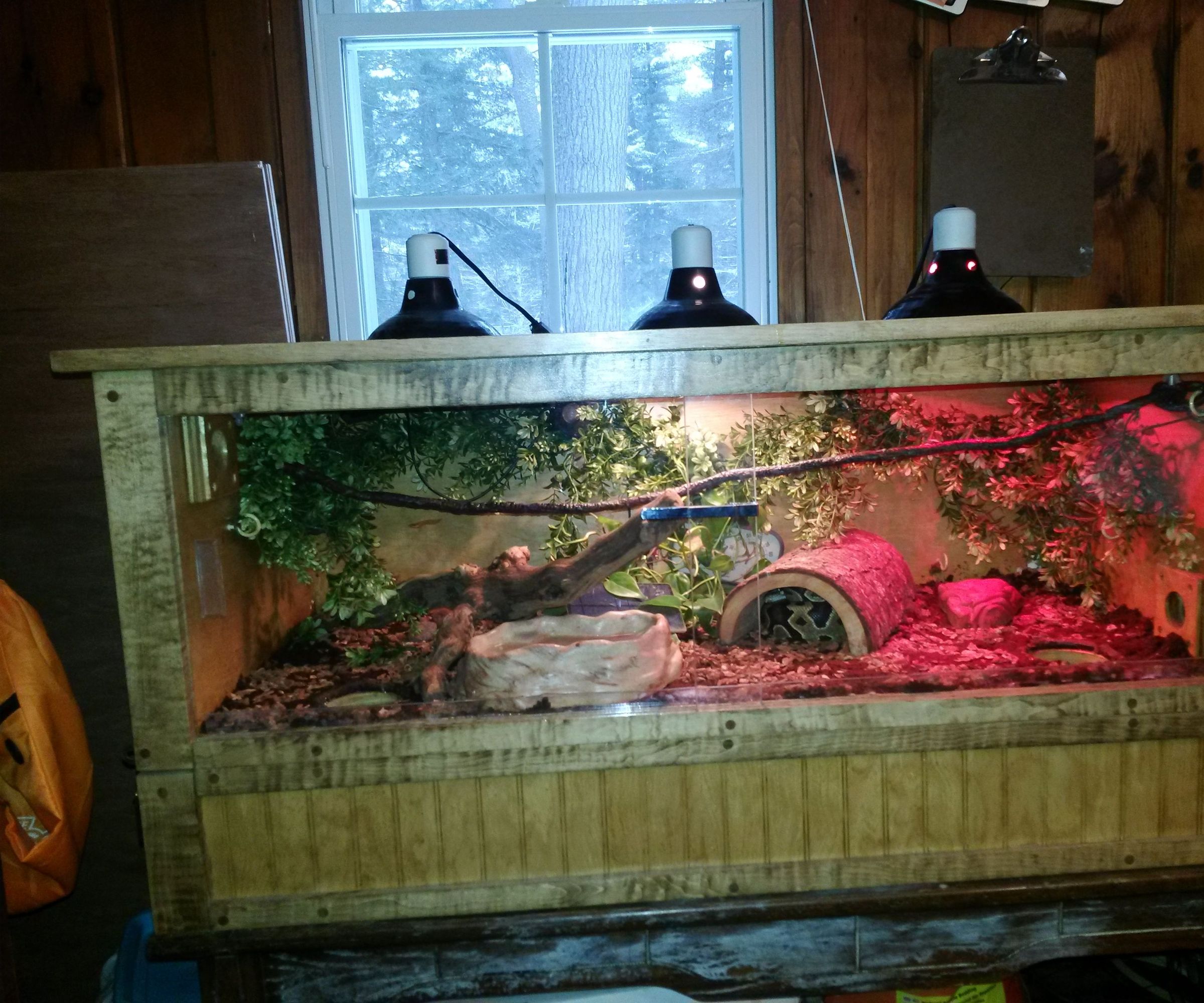 Automated Reptile Enclosure