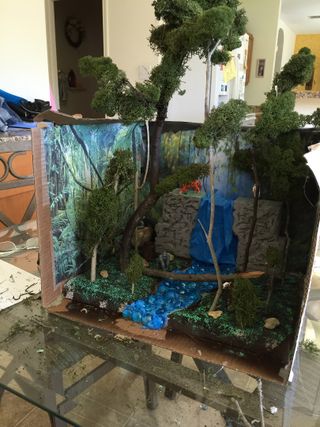 Rainforest Diorama Background