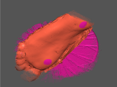 Editing the Foot Model to Your Choice