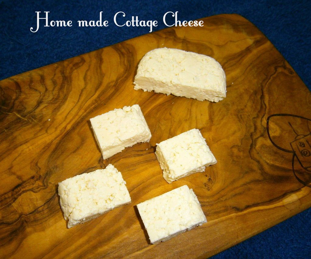 Home Made Cottage Cheese (Paneer)
