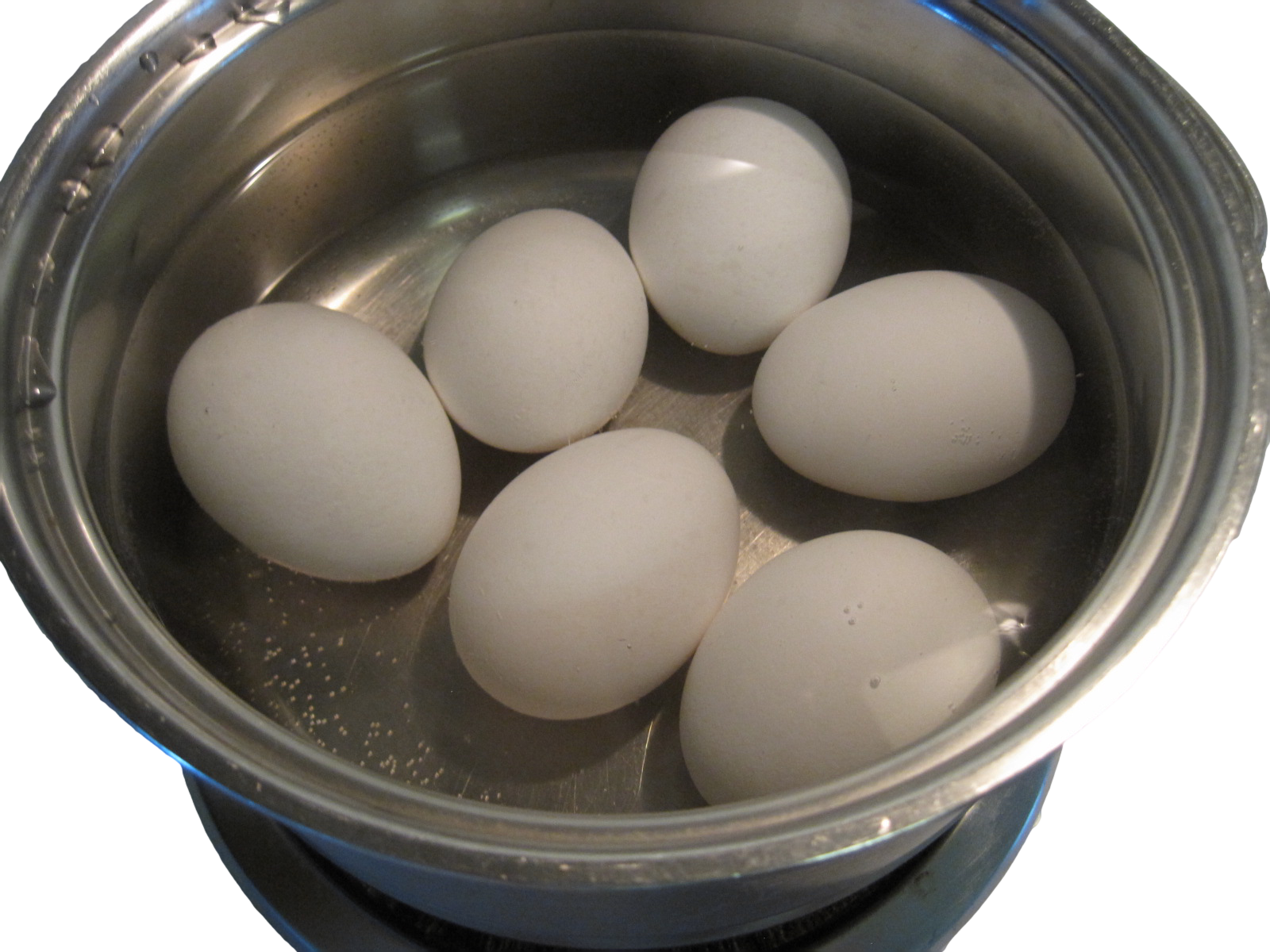 Hard Boiled Eggs 4 Steps Instructables