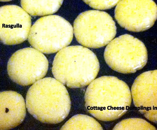 Cottage Cheese Dumplings in Sugar Syrup or Rasgulla