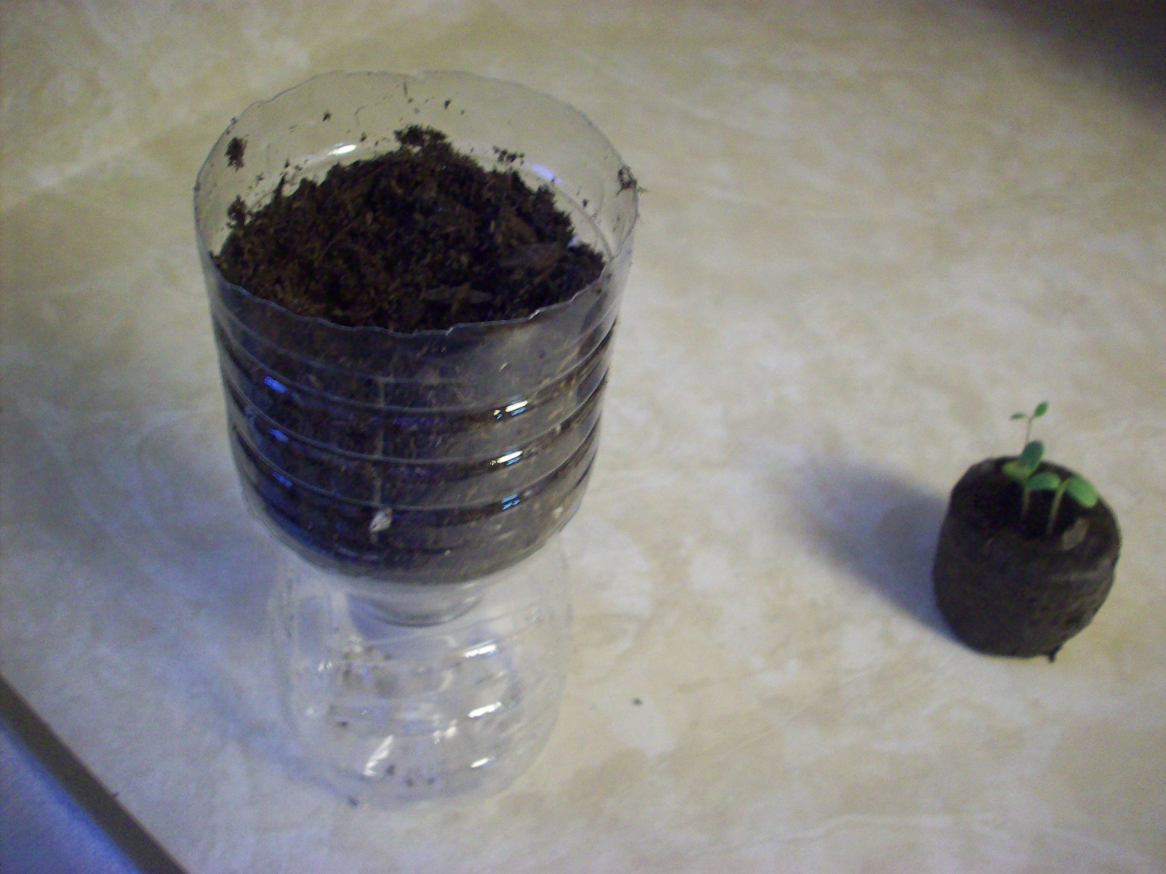 Easy Self Watering Plant Container 9 Steps Instructables
