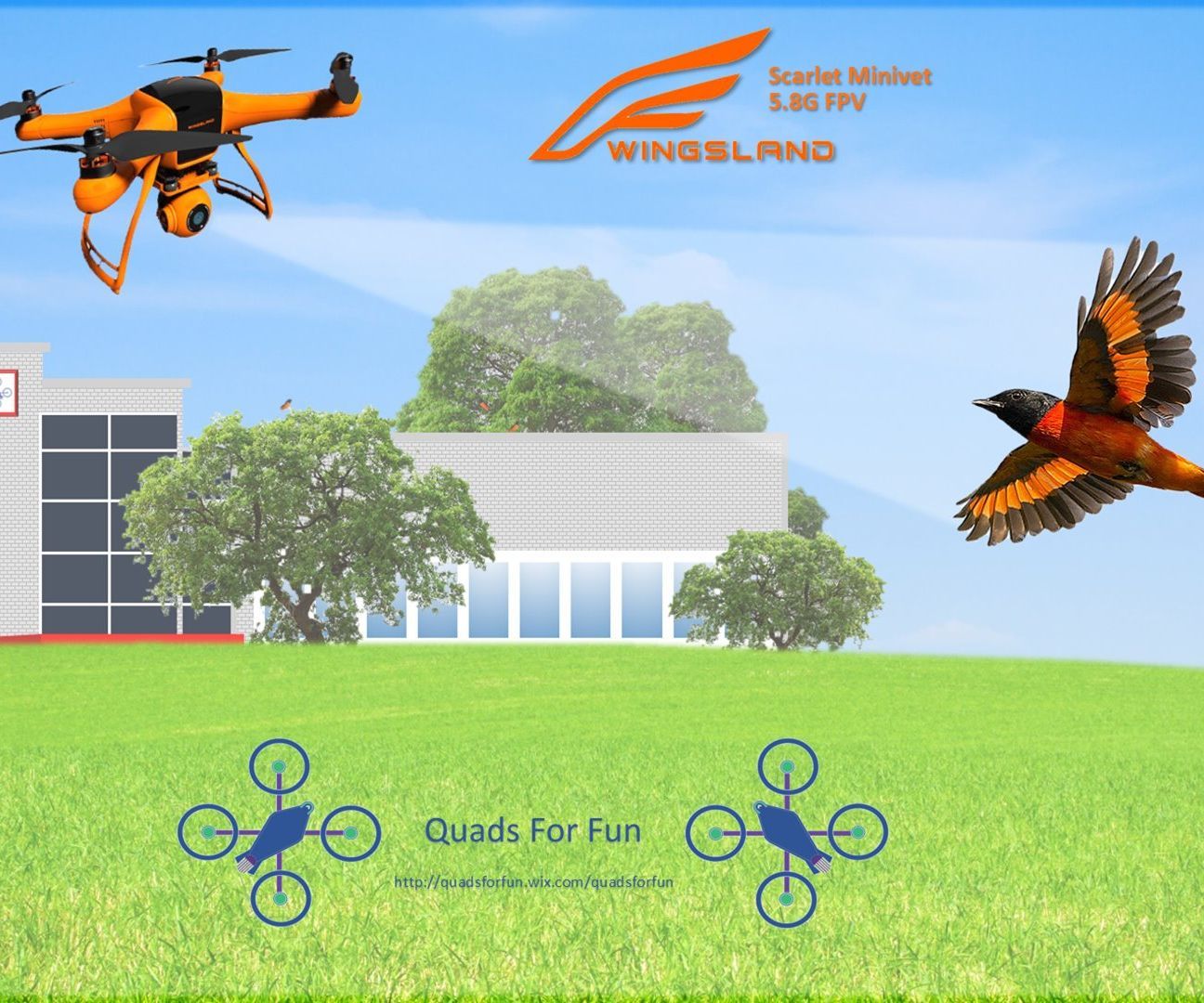 Wingsland Scarlet Minivet Drone