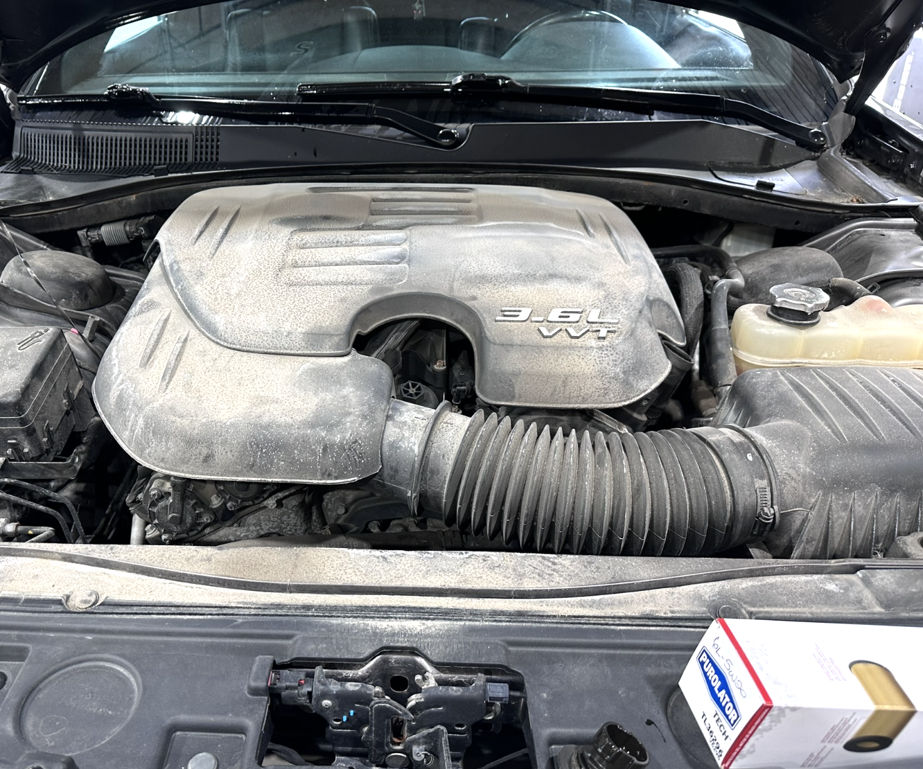 How to Do a Professional Oil Change