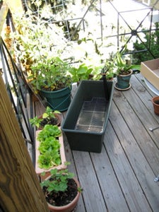 Pack the Holes With Potting Soil and Fill the Water Reservoire