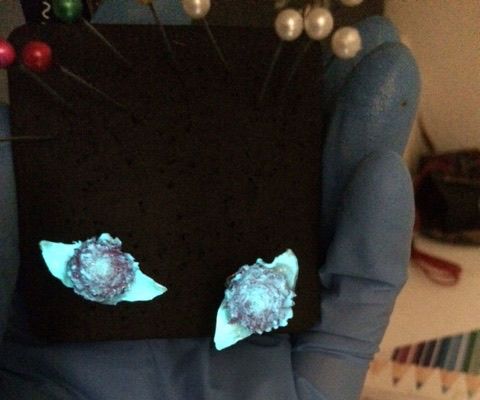 Quick and Easy Glowing Earrings 