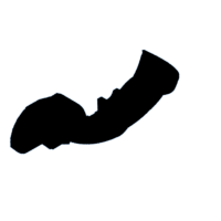 download {{ file.name }}