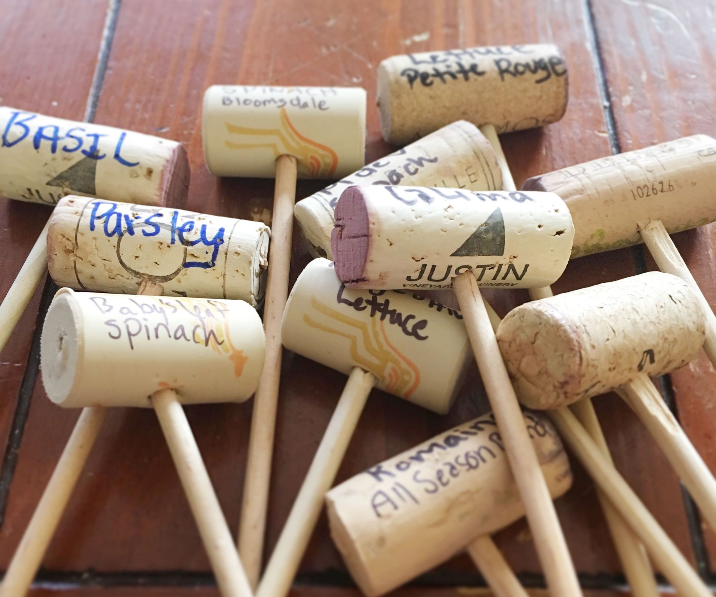 Wine Cork Plant Markers