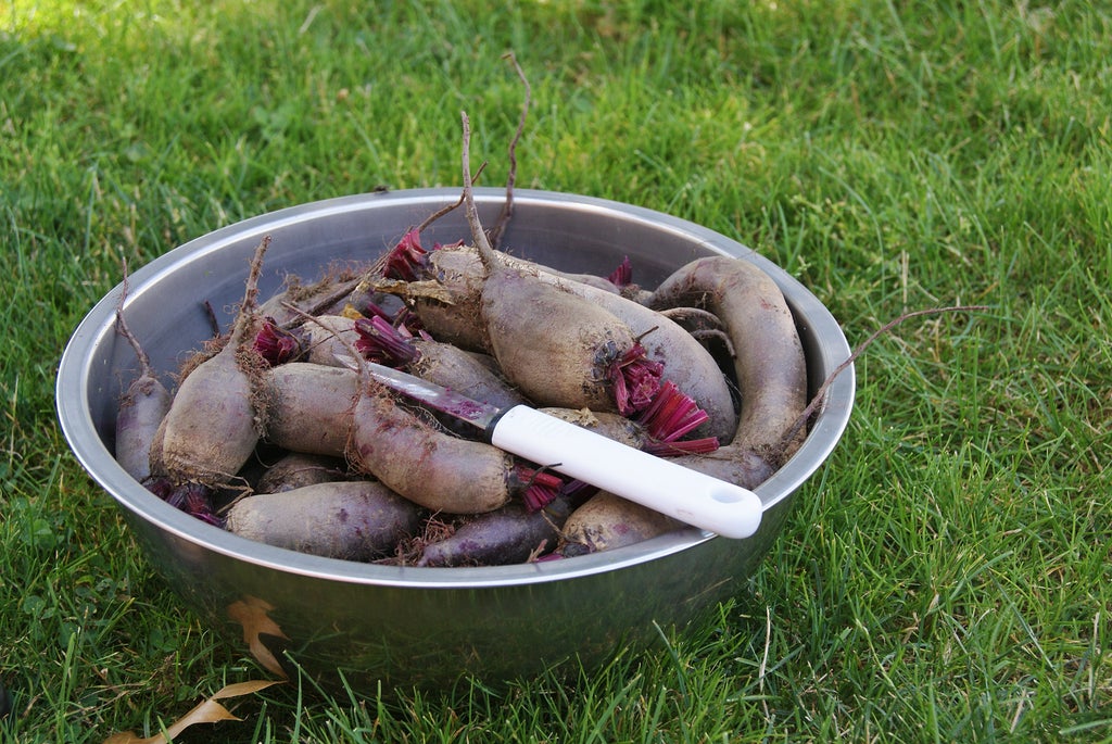 Acquire a Large Bowl of Red Beets.