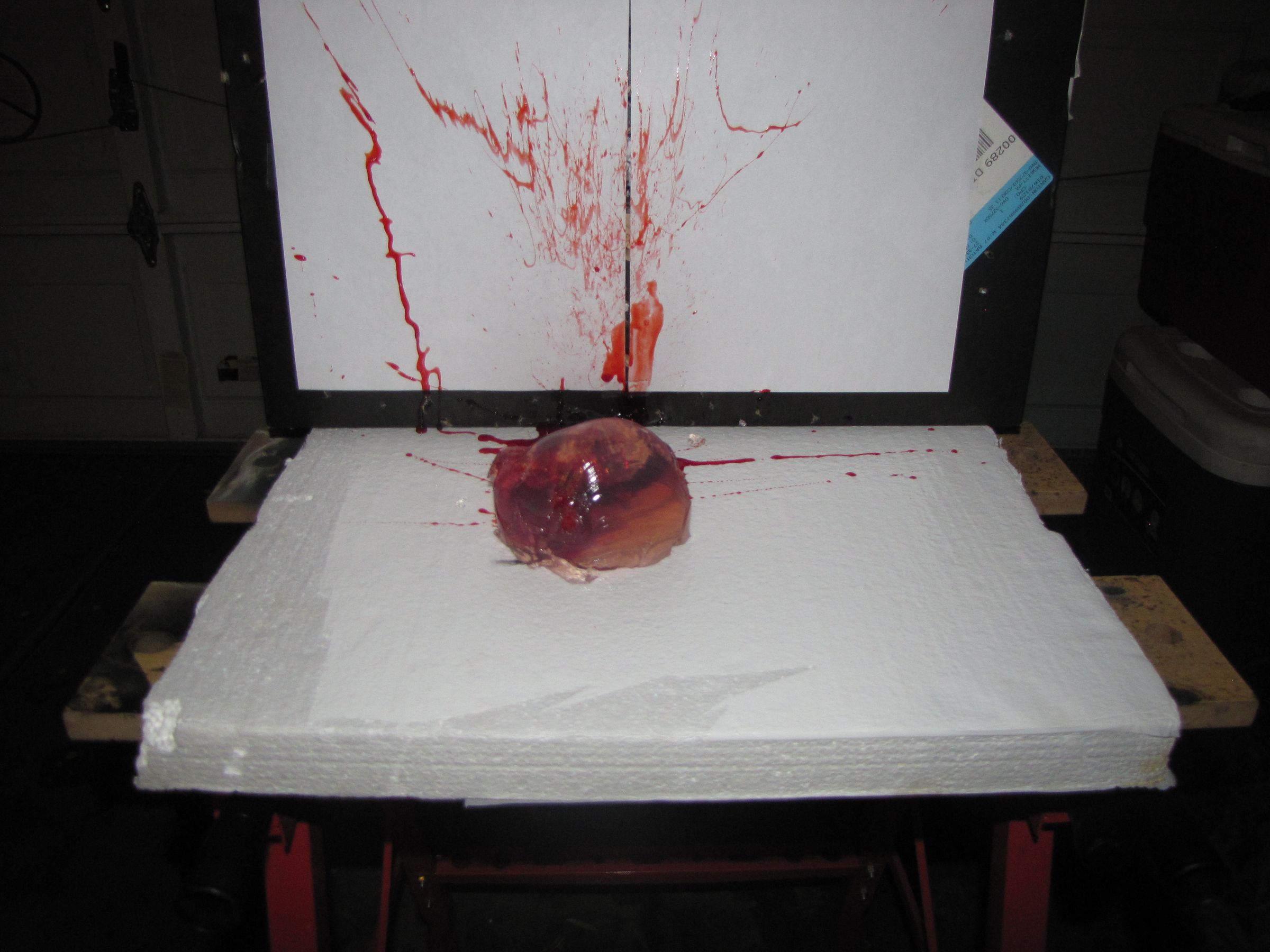 "Bleeding" Ballistic Gel Target