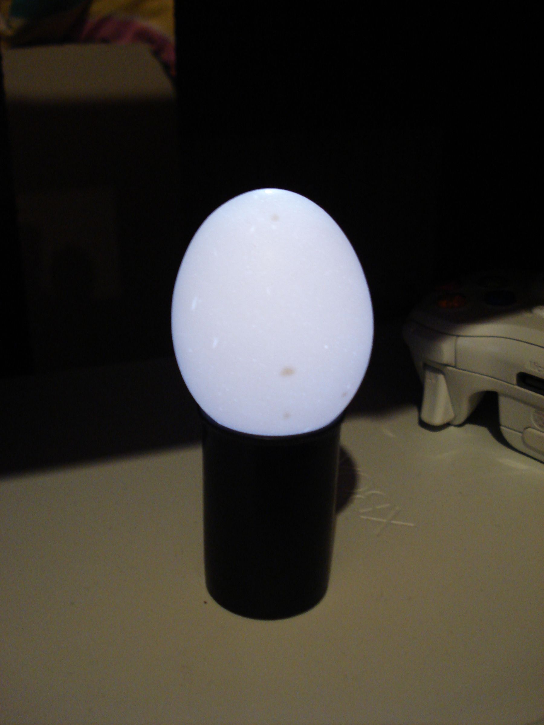 Extremely Simple "Eggcellent" Night Light