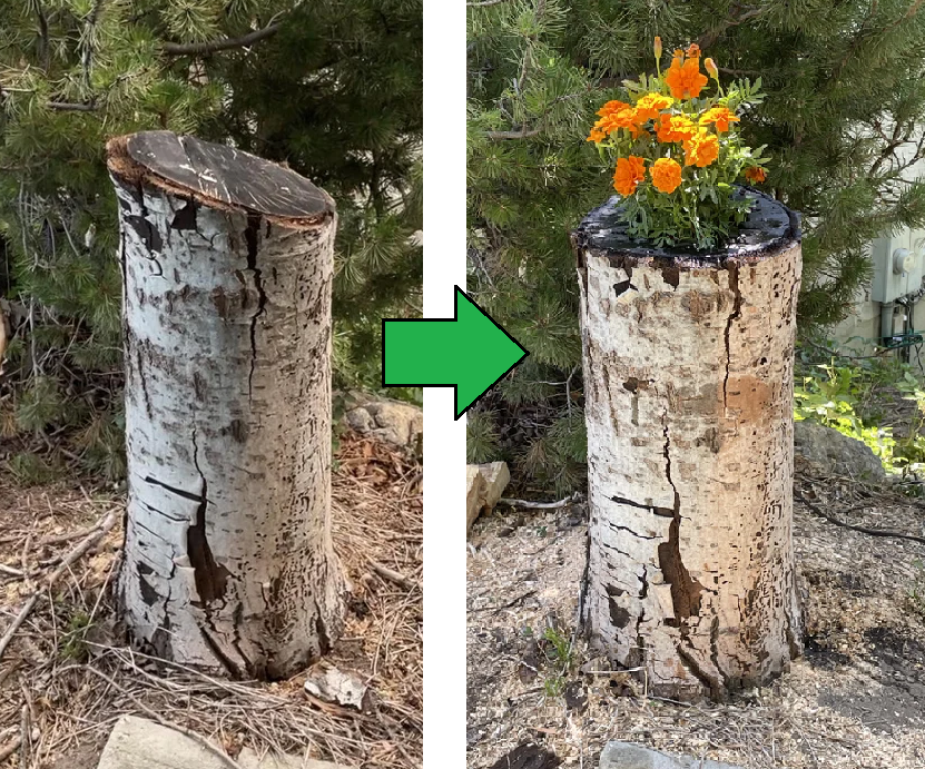Transform a Tree Stump Into a Planter Box : 11 Steps (with Pictures ...