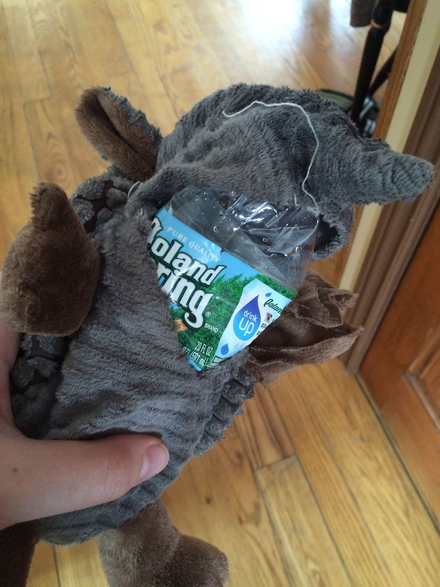 The New Old Dog Toy