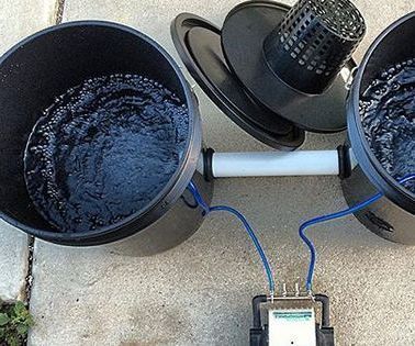 DWC Hydroponics Growing System
