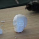 Lost Foam Cast Skulls