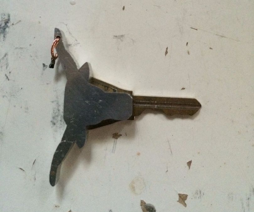 College Football Team Logo House Key (UT Longhorns!!)