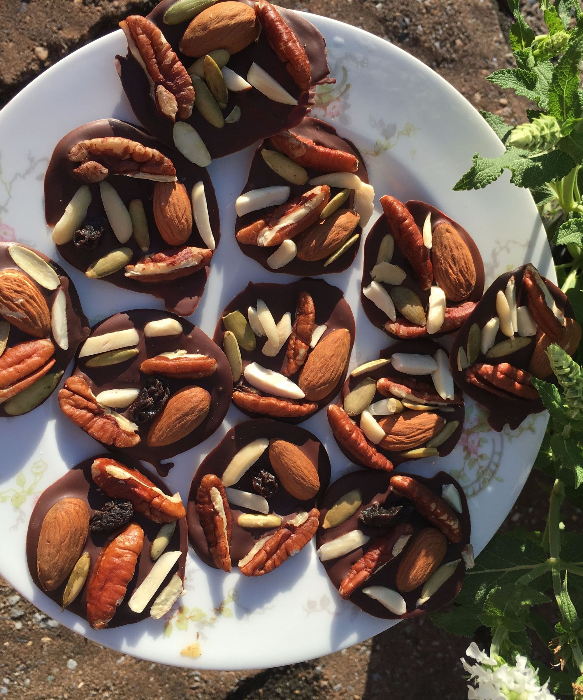 Chocolate Nut Bites