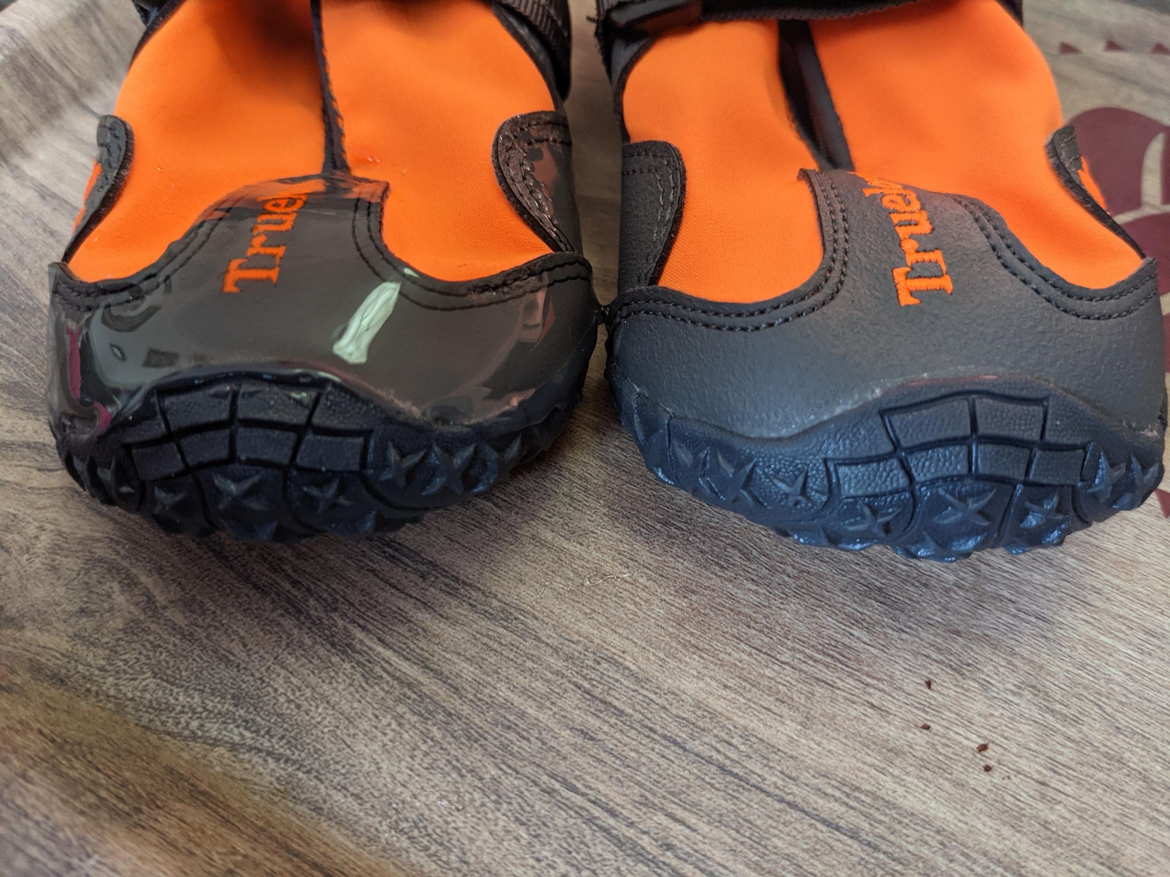 AntiKnucking Shoes for Dogs With Degenerative Myelopathy 7 Steps