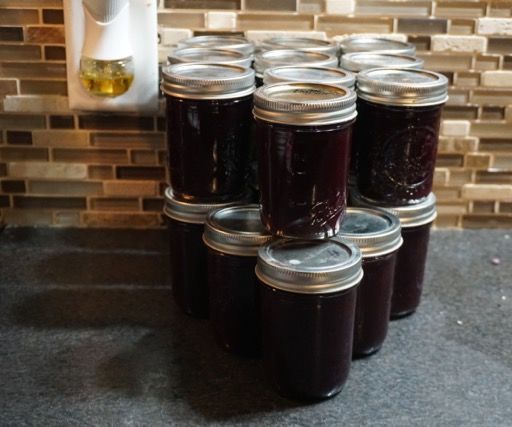 Easy Homemade Chokecherry Jelly
