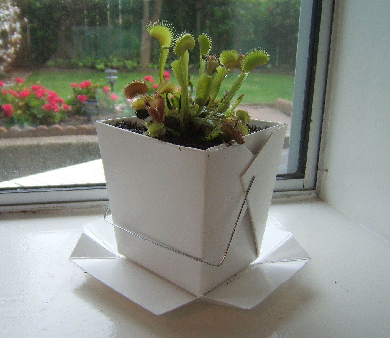 Recycled Takeout Container Planter