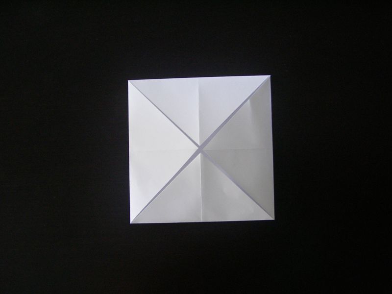 Step 7