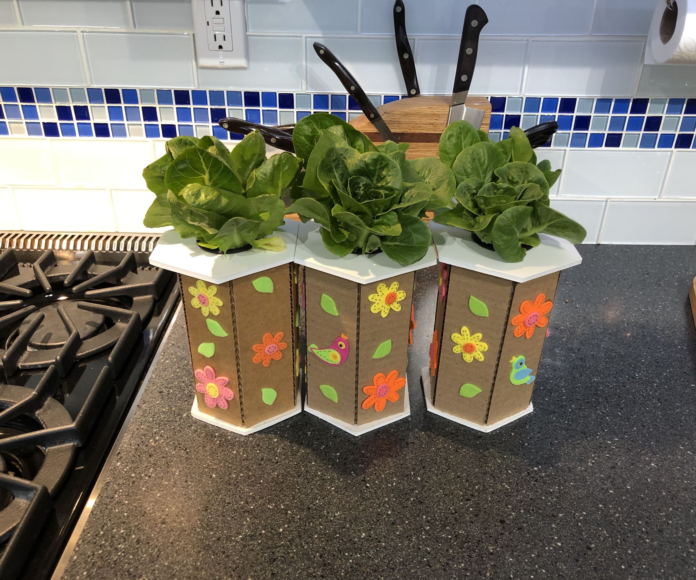 Hydrohex Planter