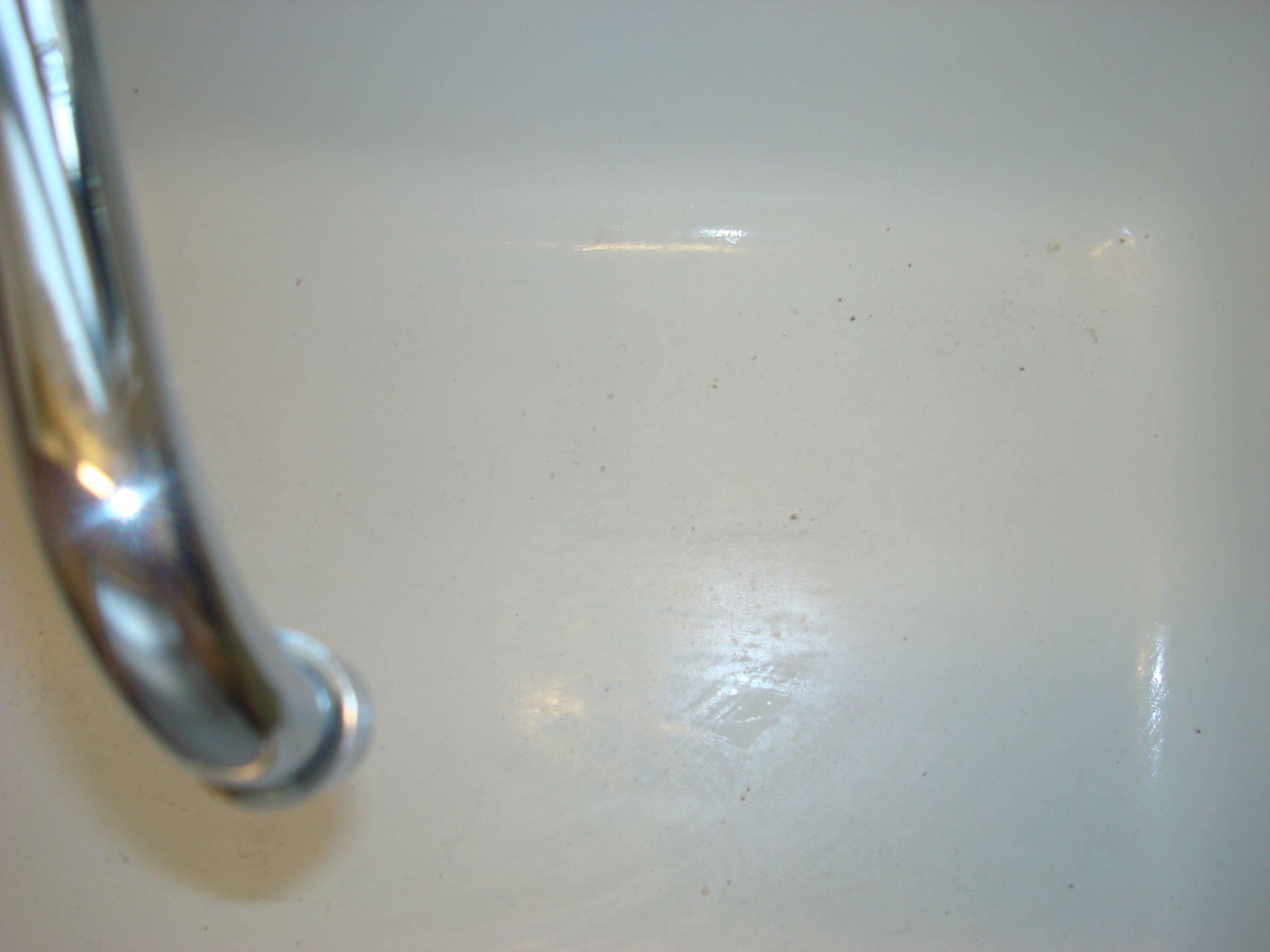 will apple cider vinegar get rid of ants