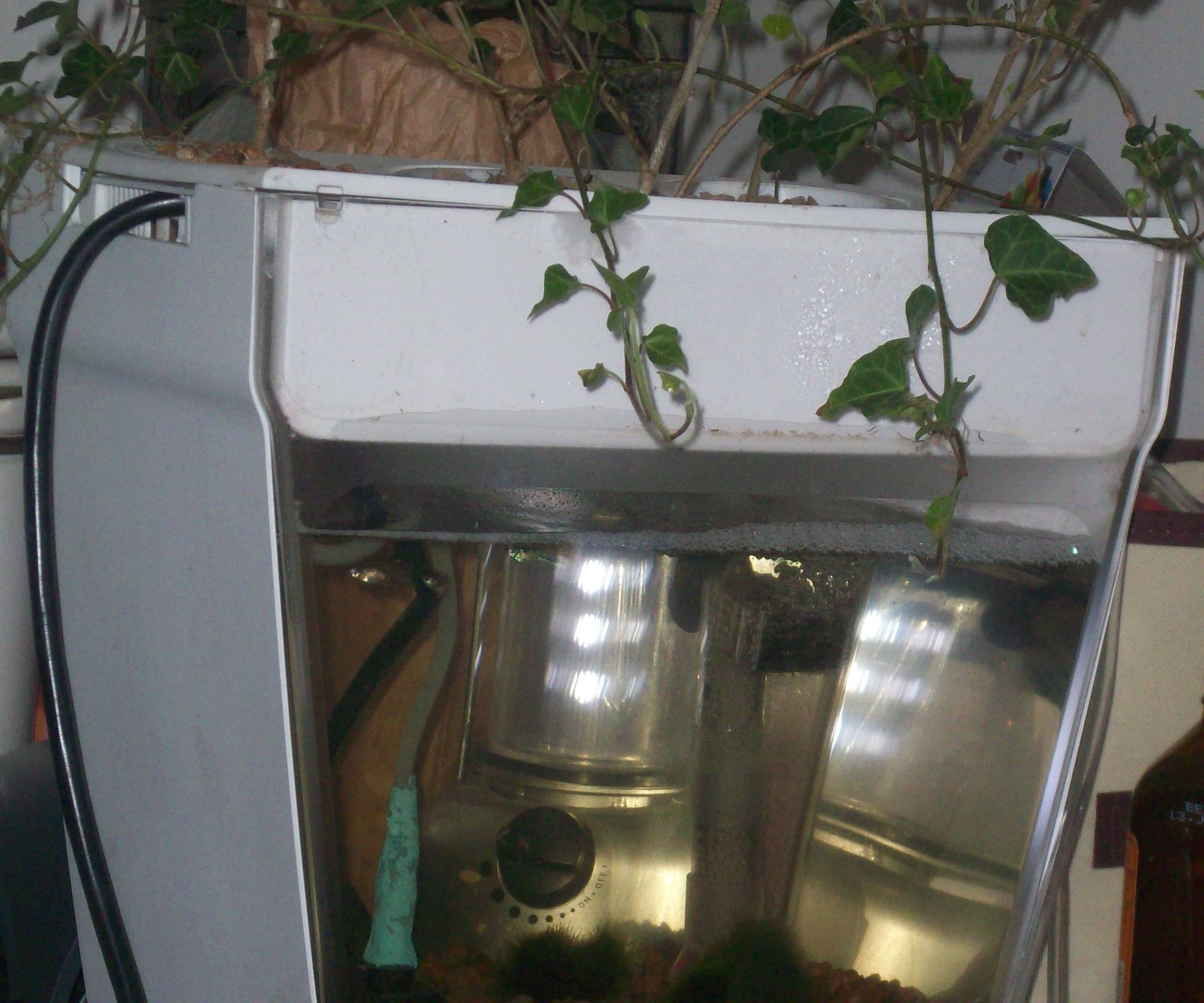 How to Make an Aquaponic System for a Small Room.