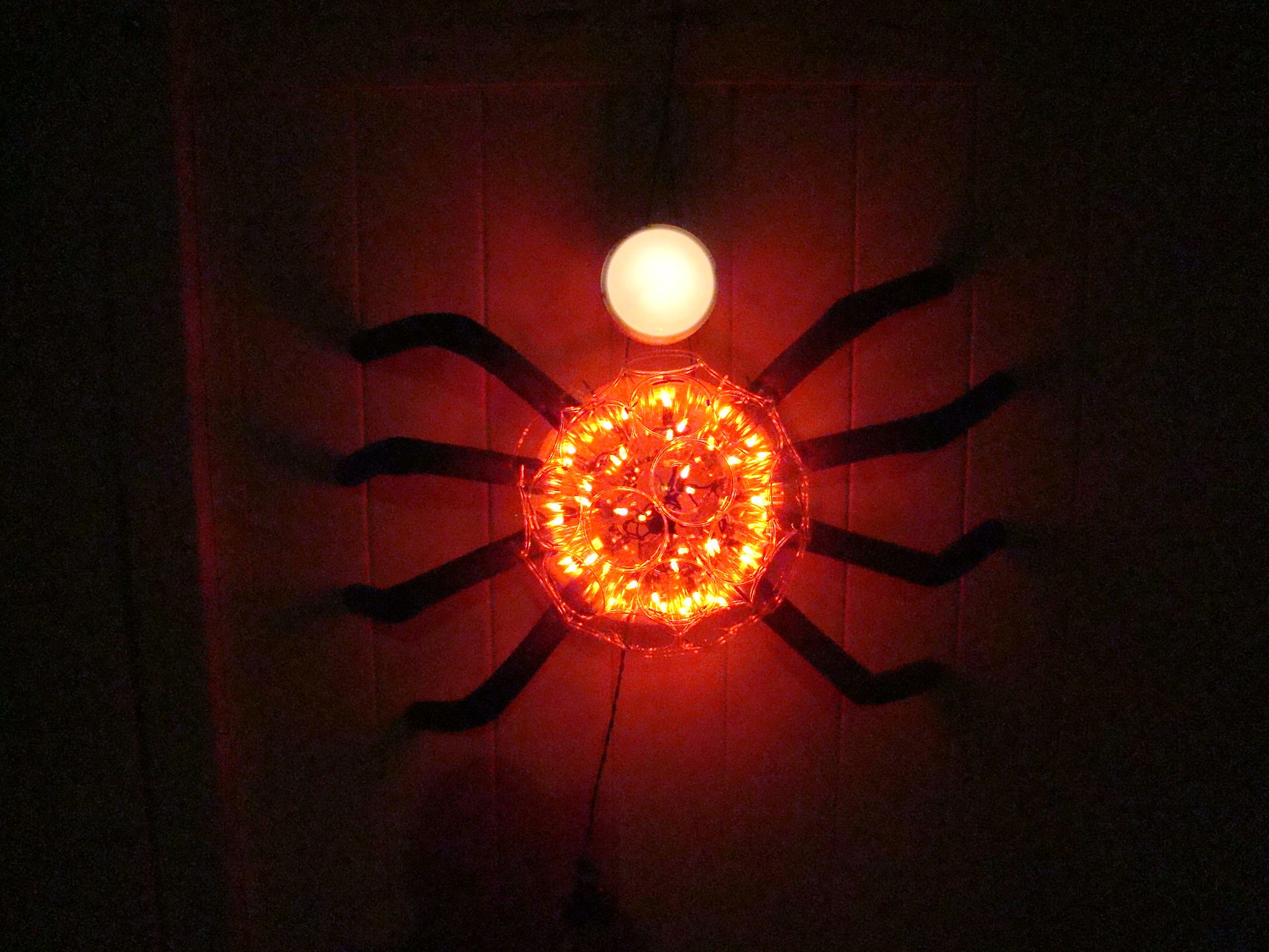 Wall Climbing Spider