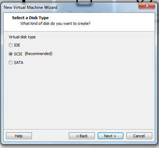 Step 12: Pick the Disk Type