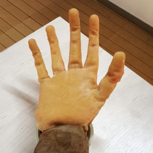 Robotic Arm(Inmoov) With Cortex M3(Brazilian Open Hardware)