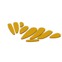 download {{ file.name }}