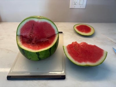 Cut Mouth Opening