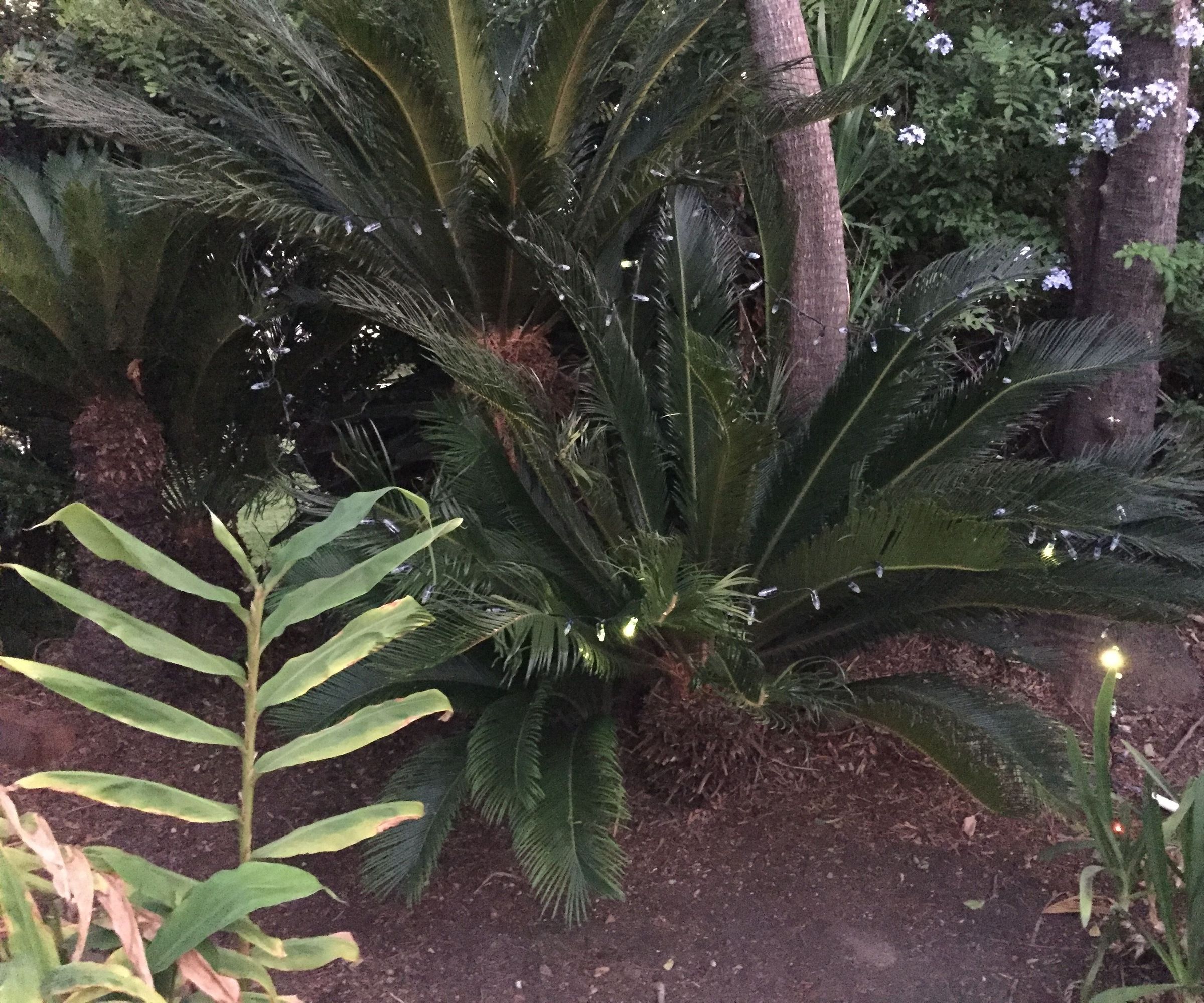 No-solder Fireflies / Lightning Bugs