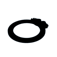 download {{ file.name }}