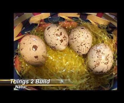 Nice Speckled Easter Eggs With Natural Dye - Tea