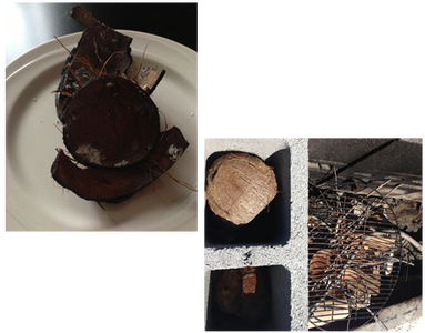 Product #2: Coconut Shell Charcoal