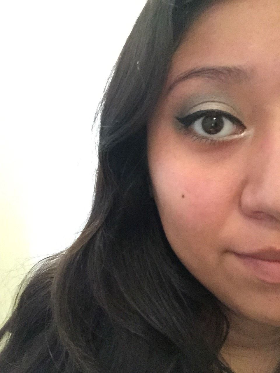 Smokey Eye w/ Naked 2 Palette 