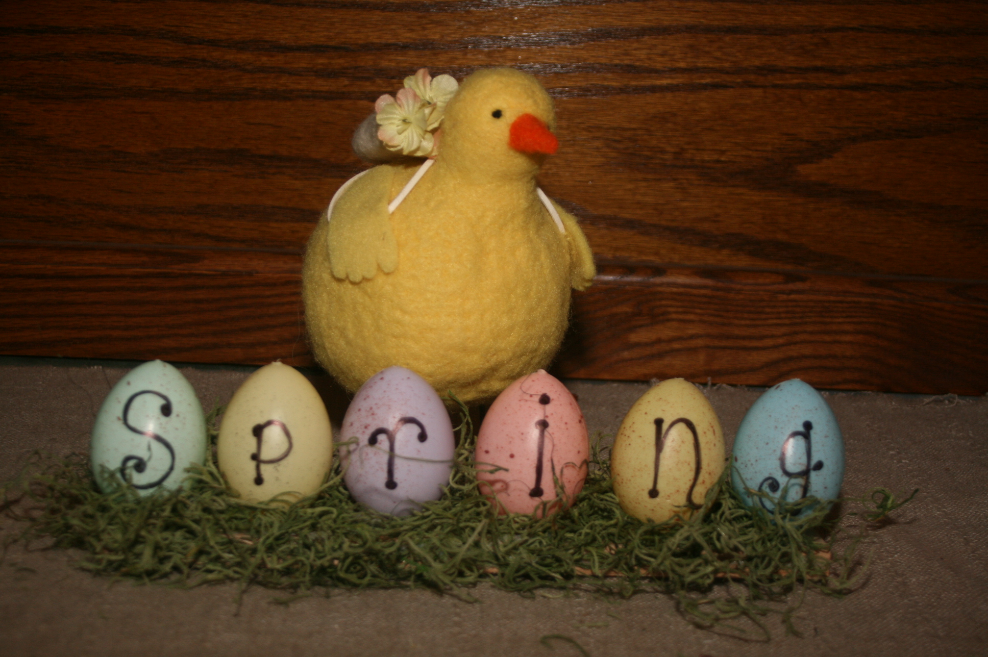Fast, Simple, Inexpensive Egg Decoration for SPRING!!