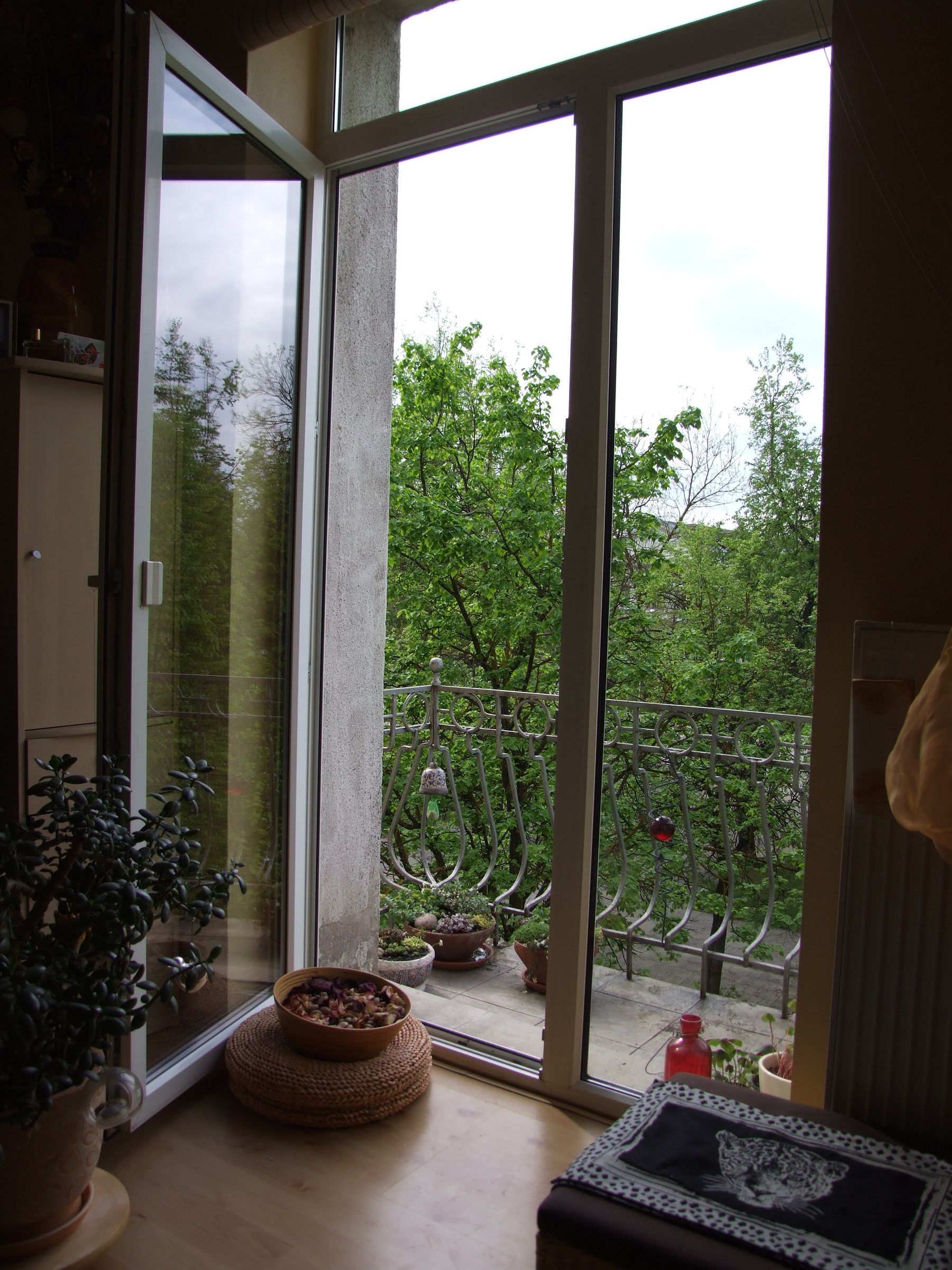 Oasis in City Concrete Jungle