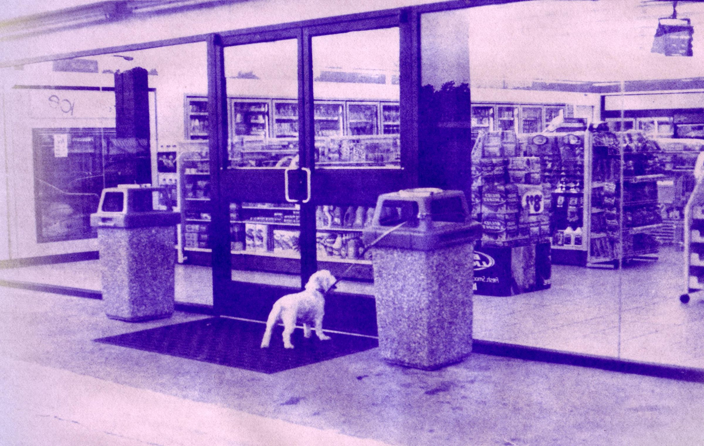 How to Develop a Photo Using Blueprint Paper and Windex