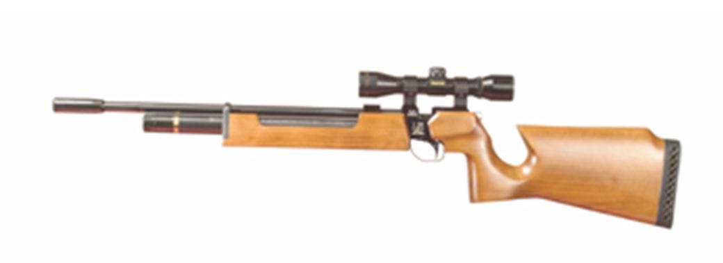 Air Rifle Laser Sight