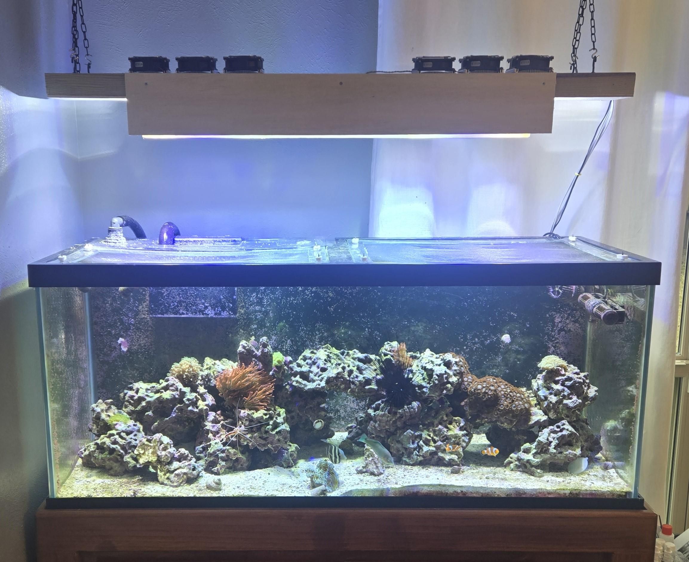 Reef Tank LED Lighting High PAR - Low Cost DIY : 8 Steps (with Pictures ...