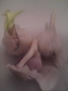 Garlic to Get Rid of Any Type of Cold Symptoms