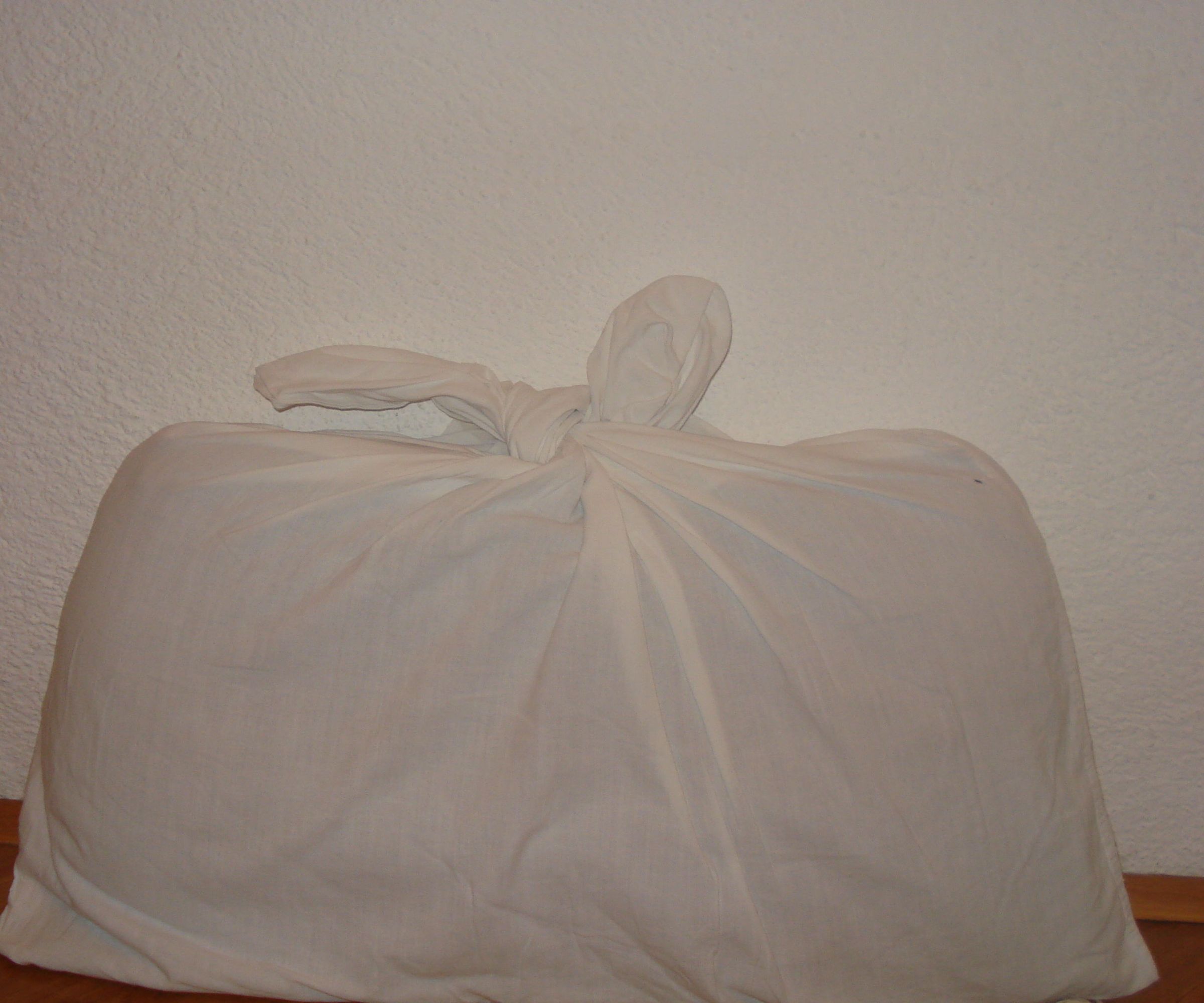 Diy Pillow Present