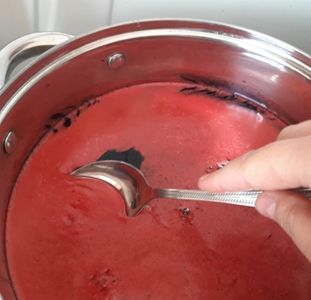 Blackcurrant Syrup 