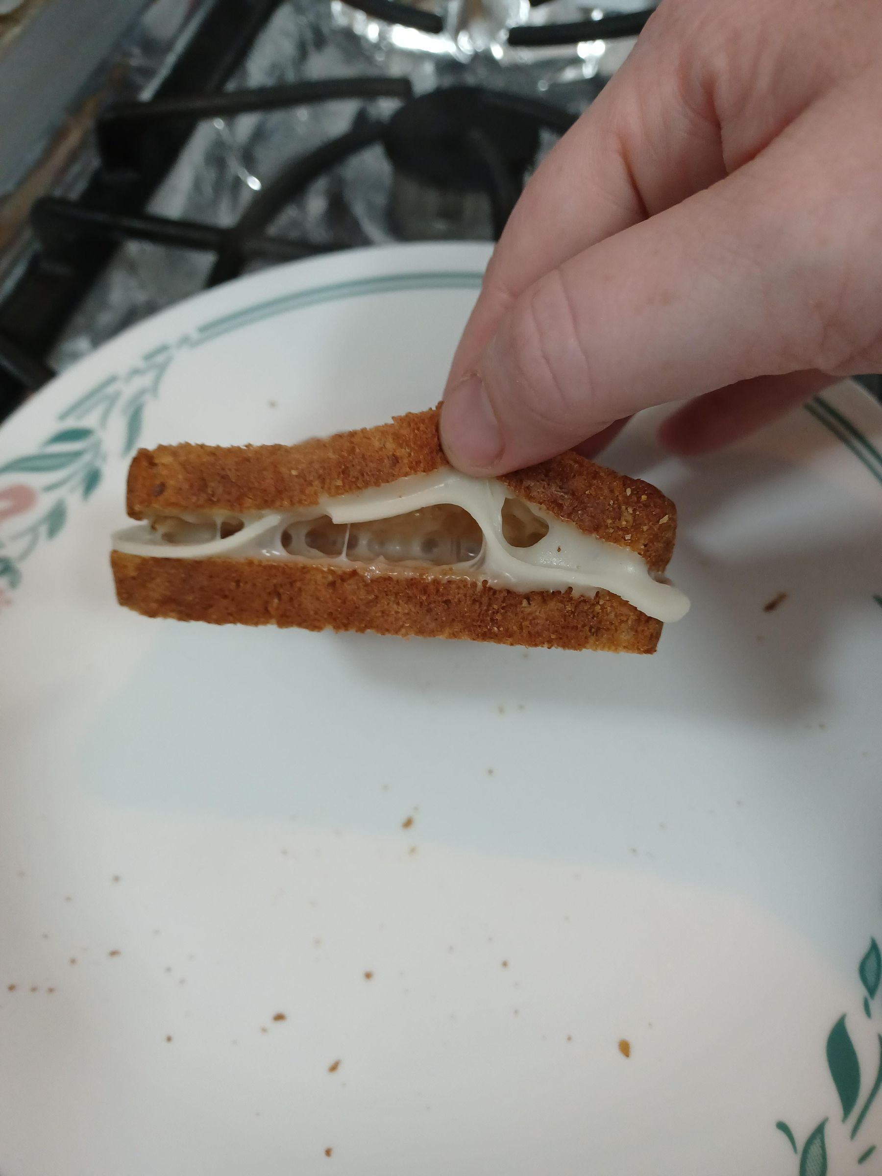 Easy Crispy Grilled Cheese Without Butter or Frying Pan 5 Steps