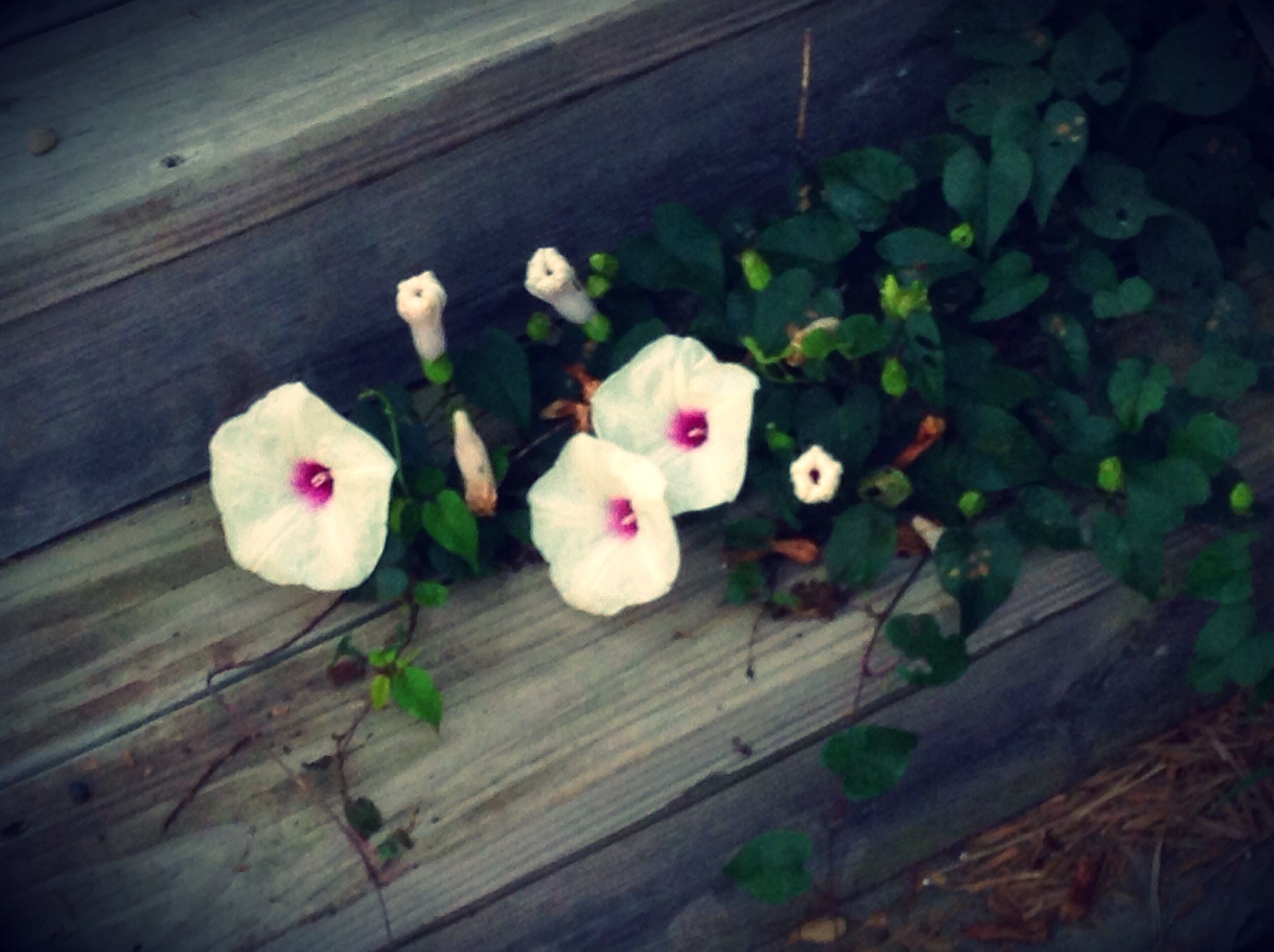 Book Quote Decor 6 Steps Instructables