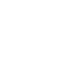 download {{ file.name }}